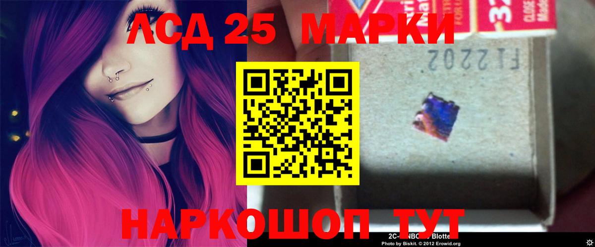 Лсд 25 экстази кислота  LSD-25 экстази  Новоалександровск  Вход с VPN  Лсд 25 экстази кислота 