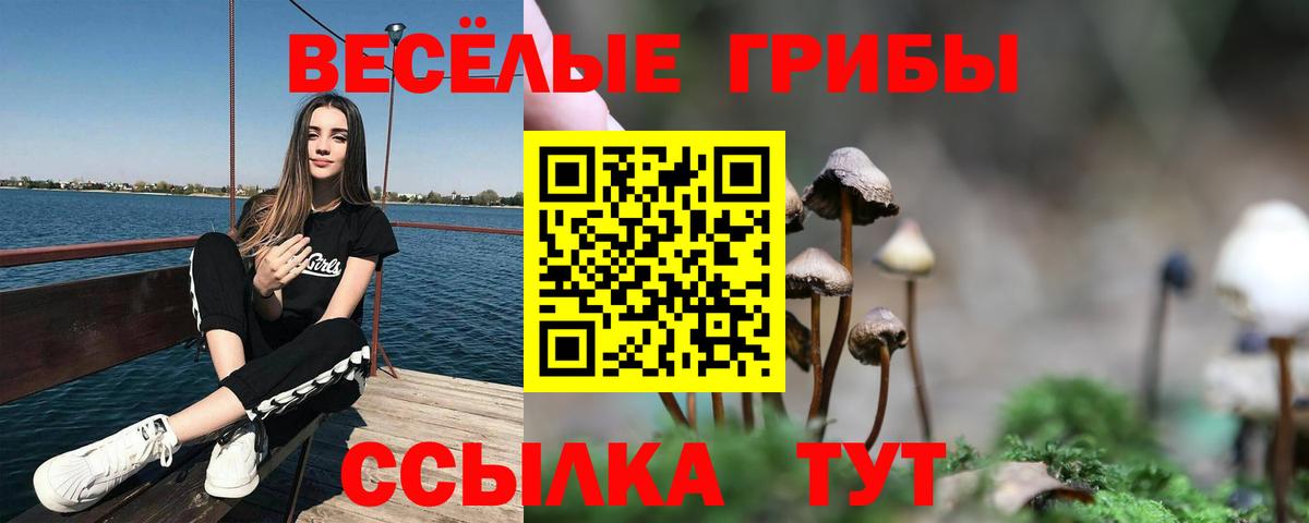 Галлюциногенные грибы мухоморы  Вход с VPN  Новоалександровск 