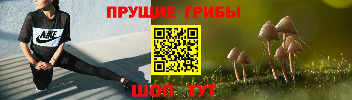 Псилоцибиновые грибы мухоморы Новоалександровск