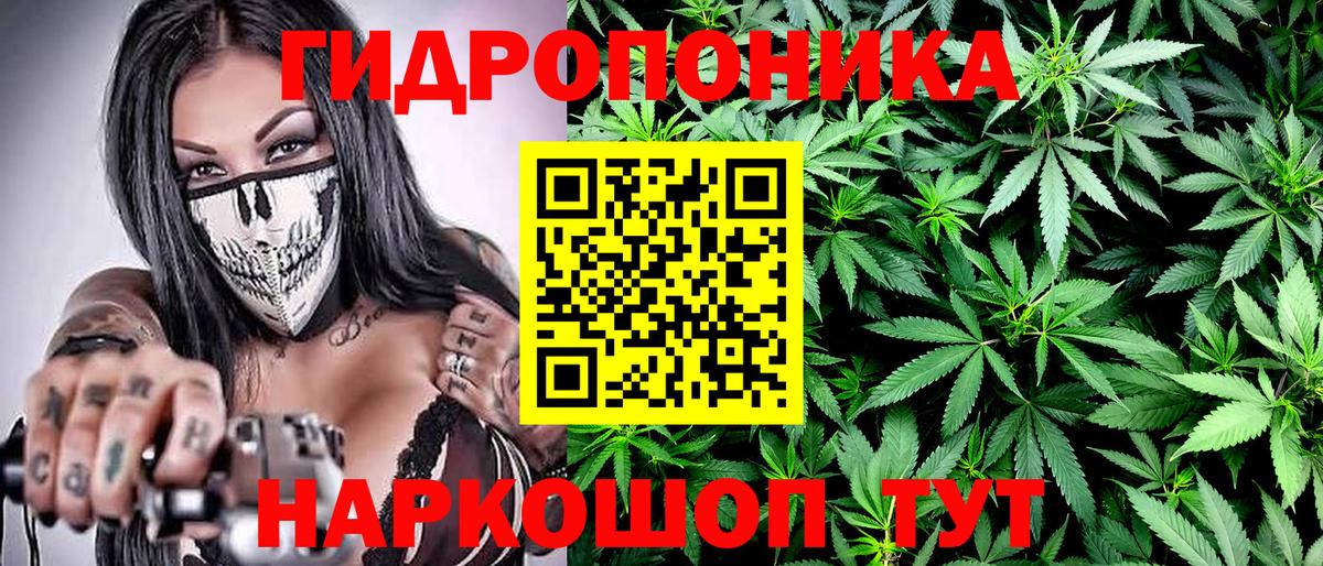 Новоалександровск  Каннабис индика  Вход с VPN  Марихуана план  Канабис Bruce Banner 